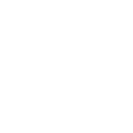 Vantom Group logo white.